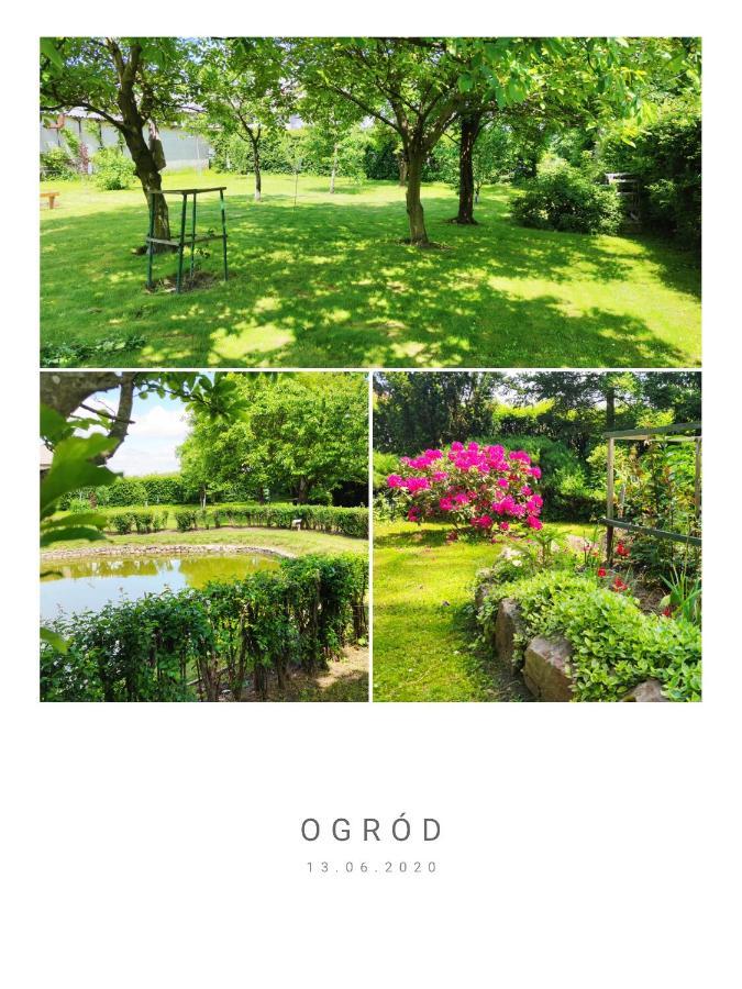 Agroturystyka Szerokopas Nidzica Bagian luar foto